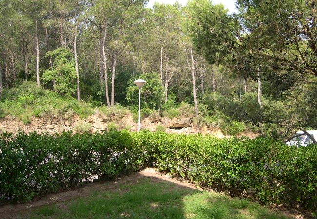 Apartamento en Pals - 201.1 * SG 1 C b 4ª - 002100