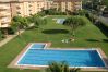 Apartamento en Pals - 426 - GM 2 A bx 3ª - 004200