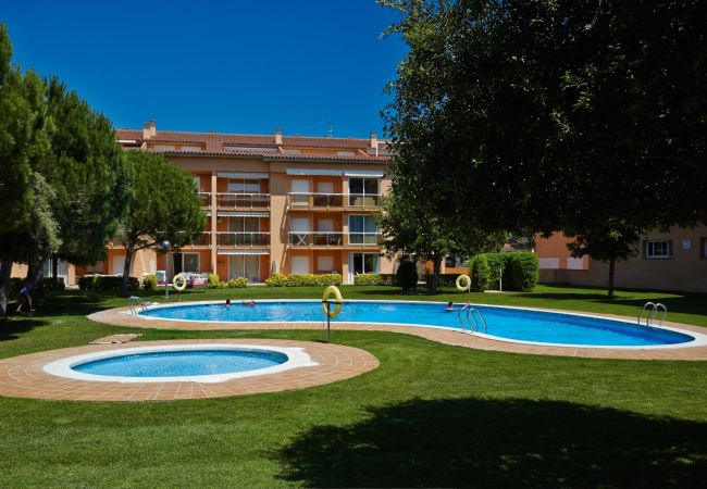 Apartament en Pals - 219 - SG 2 G b 1ª - 002200