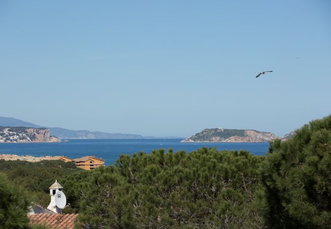 Apartament en Pals - 225 - SG 2 G at. 1ª - 002200