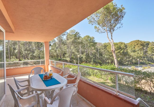 Apartament en Pals - 201.1 * SG 1 C b 4ª - 002100