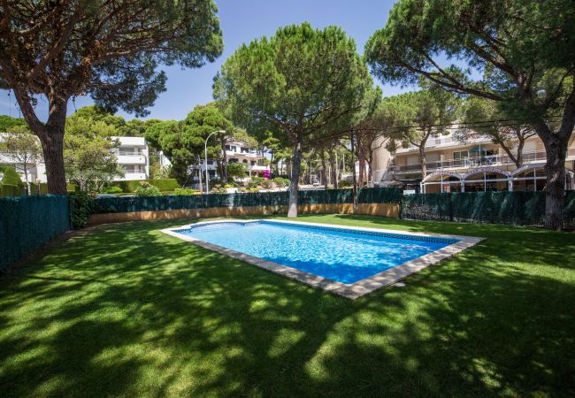 Apartament en Pals - 512 - AP C/DEL GOLF 9 (105) - 006000