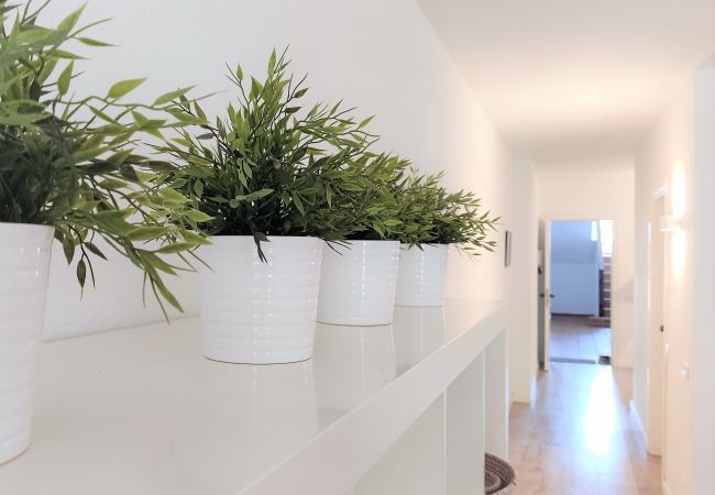 Apartament en Pals - 426 - GM 2 A bx 3ª - 004200